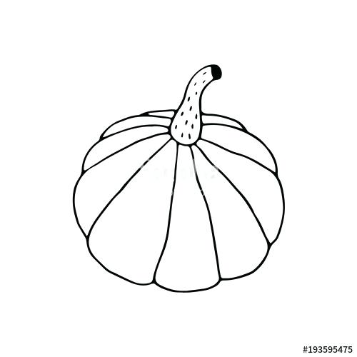 500x500 Linear Cartoon Hand Drawn Pumpkin Cute Vector Black And White