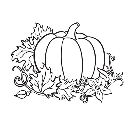 450x450 Pumpkin Vector Drawing Isolated Outline Vegetable With Leaves