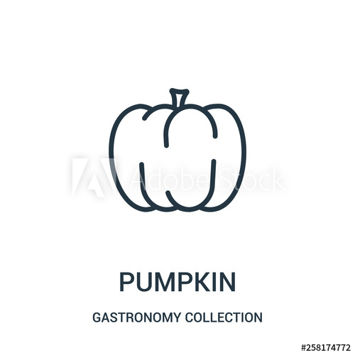 500x500 Pumpkn Vector From Gastronomy Collection Collection Thin