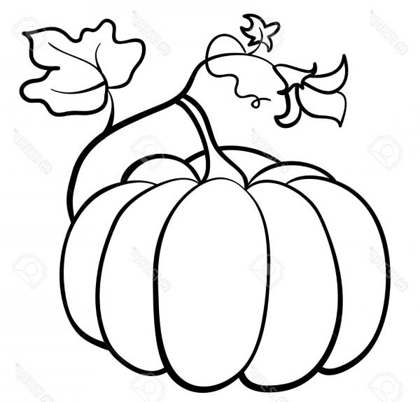 600x575 Pumpkin Leaf Clipart Outline Free Cliparts Download Images