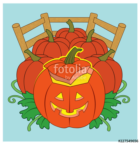 488x500 Pumpkin Patch A Jack O Lantern In A Pumpkin Patch Stock Image