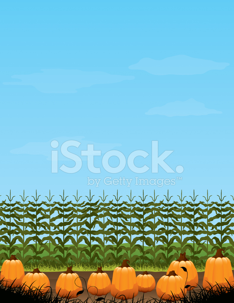 789x1024 Pumpkin Patch Stock Vector
