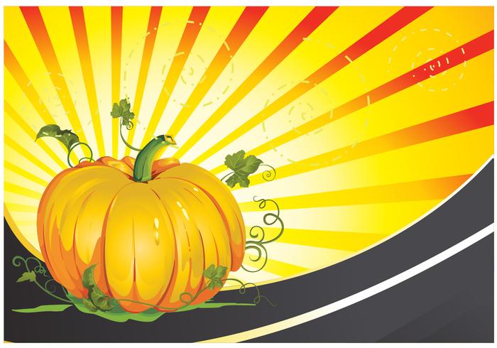 700x490 Pumpkin Patch Vector Background