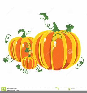 281x300 Pumpkin Patch Vector Clipart Free Images