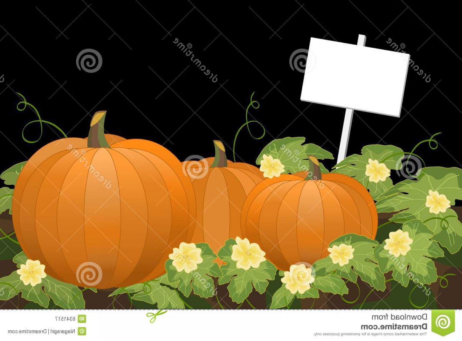 1560x1152 Royalty Free Stock Photography Pumpkin Patch Night Sign Image