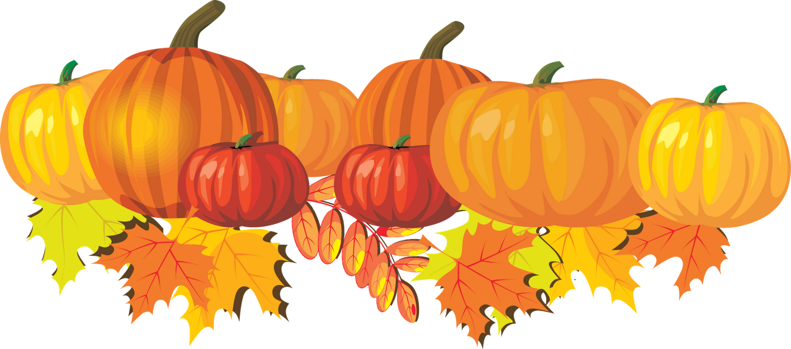1600x707 Pumpkin Patch Clipart