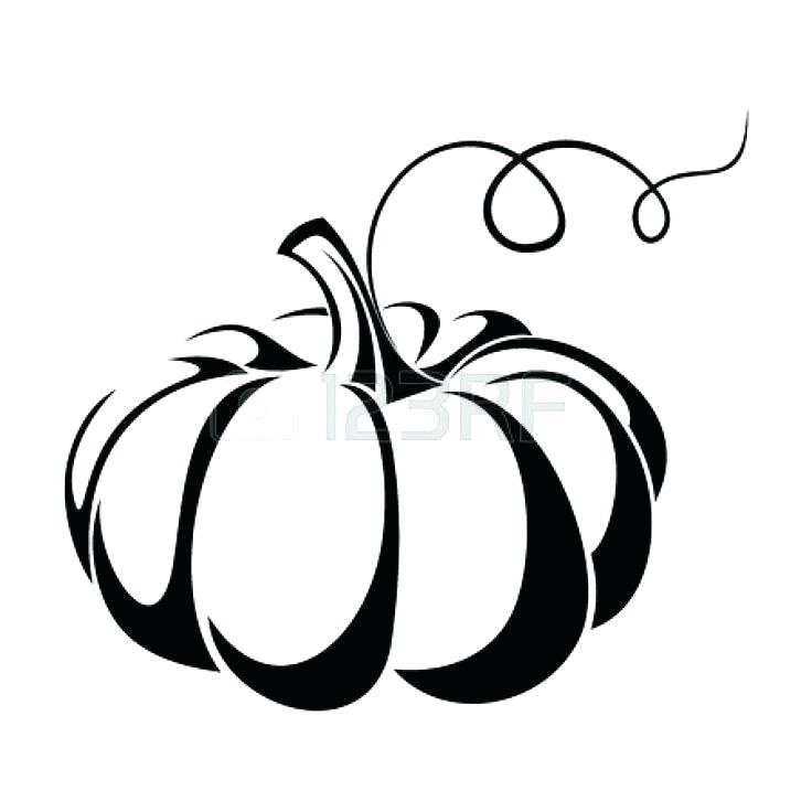 736x736 White Pumpkin With Flowers Vector