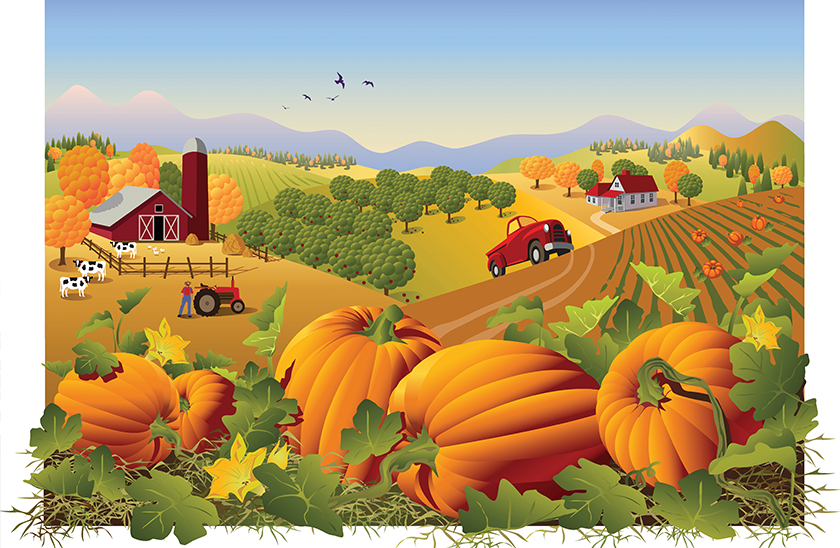 840x548 Of The Best Pumpkin Patches In Tennessee