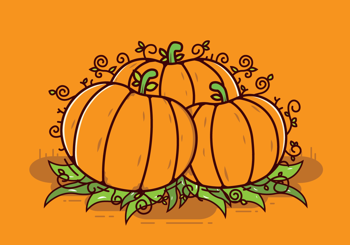 700x490 Free Pumpkin Patch Vector