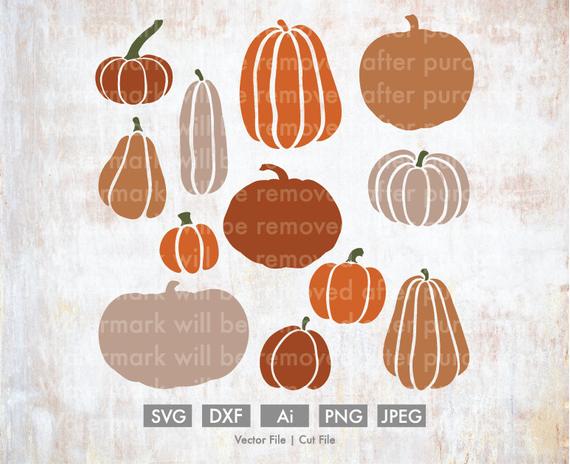 570x464 Pumpkin Bundle Vectorcutting Silhouette Cricut Etsy