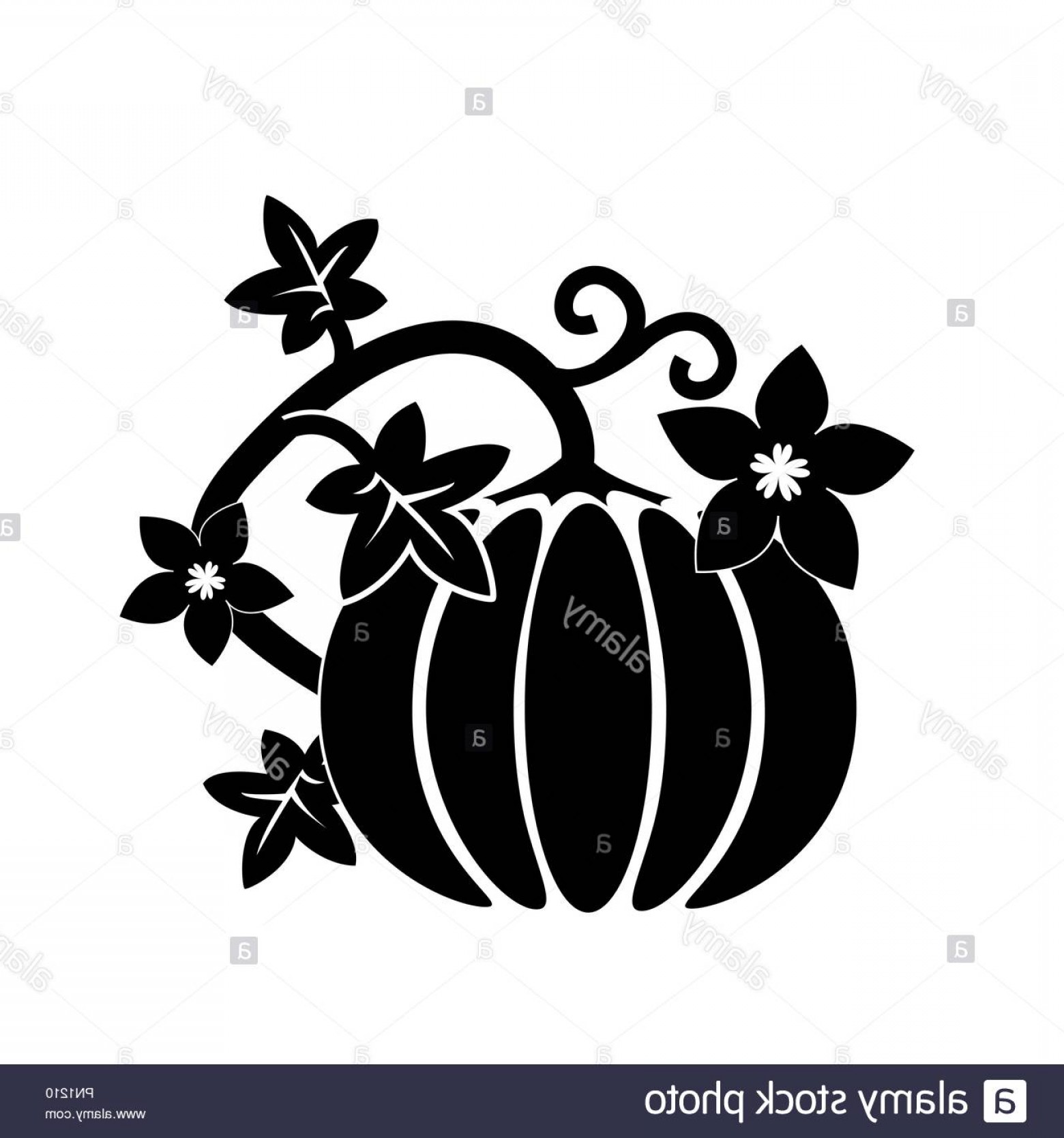 Cartoon Pumpkin Thanksgiving Day Card Vector Pumpkin Silhouette 1560x1668 Cartoon Pumpkin Thanksgiving Day Card Vector Pumpkin Silhouette