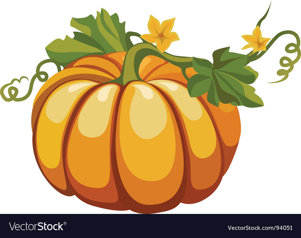 1000x791 Pumpkin Vector