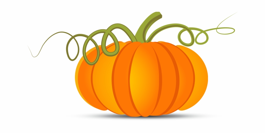 920x463 Pumpkin Vector