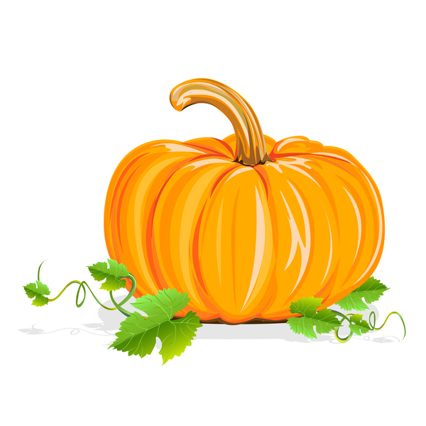 600x600 Fresh Pumpkin Vector Material Free Download