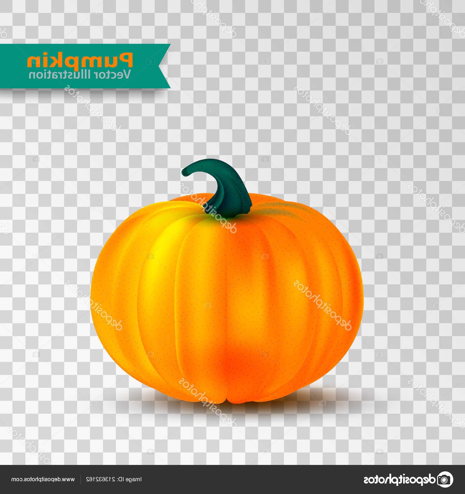 1600x1700 Hd Pumpkin Vector Graphic Free Vector Images Design