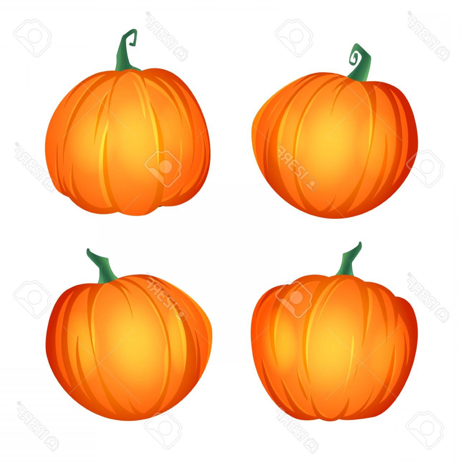 1560x1560 Pumpkin Vector Graphic Soidergi