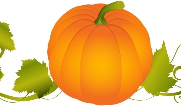 600x354 Pumpkin Vector Graphic Free Vector In Adobe Illustrator