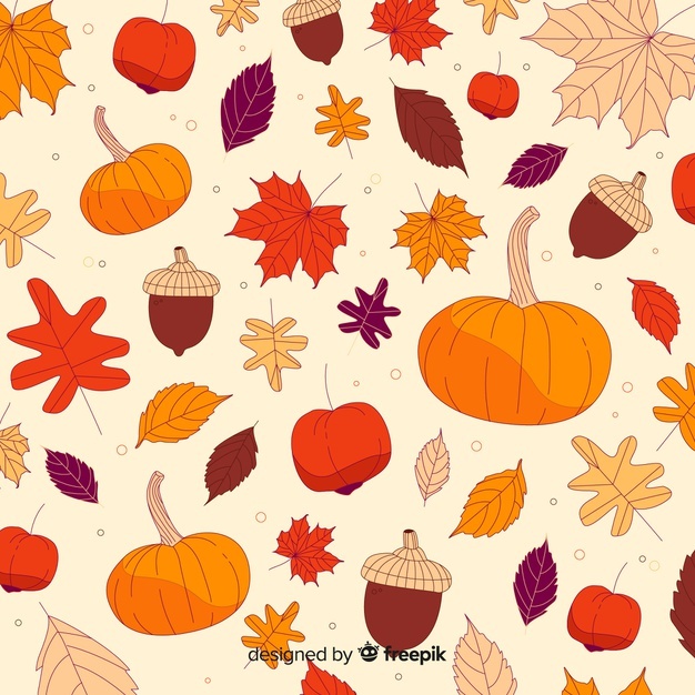 626x626 Pumpkin Vectors, Photos And Free Download