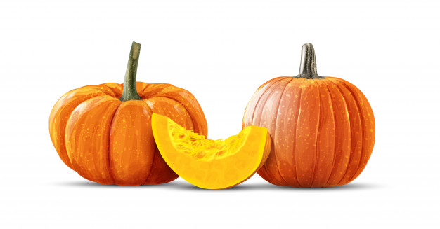 626x327 Pumpkin Vector Art Vector Premium Download