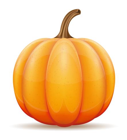 443x490 Pumpkin Vector Illustration