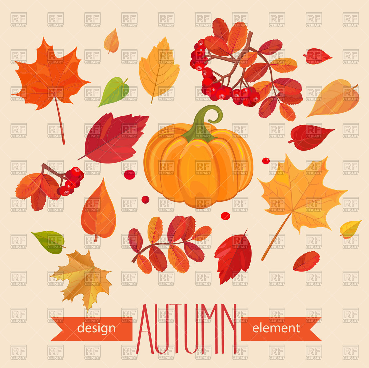 1200x1195 Color Autumn Leaves And Pumpkin Vector Image Of Backgrounds