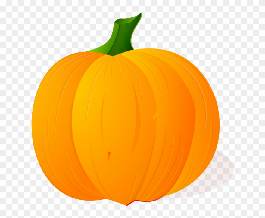 880x725 Free Download High Quality Pumpkin Vector Png Image Clipart