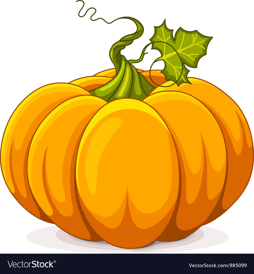 1000x1077 Pumpkin Vector