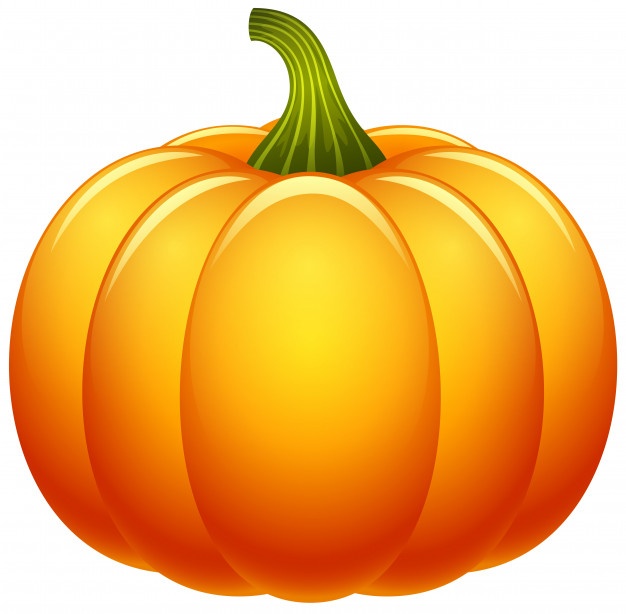 626x614 Pumpkin Isolated On White Background Vector Premium Download
