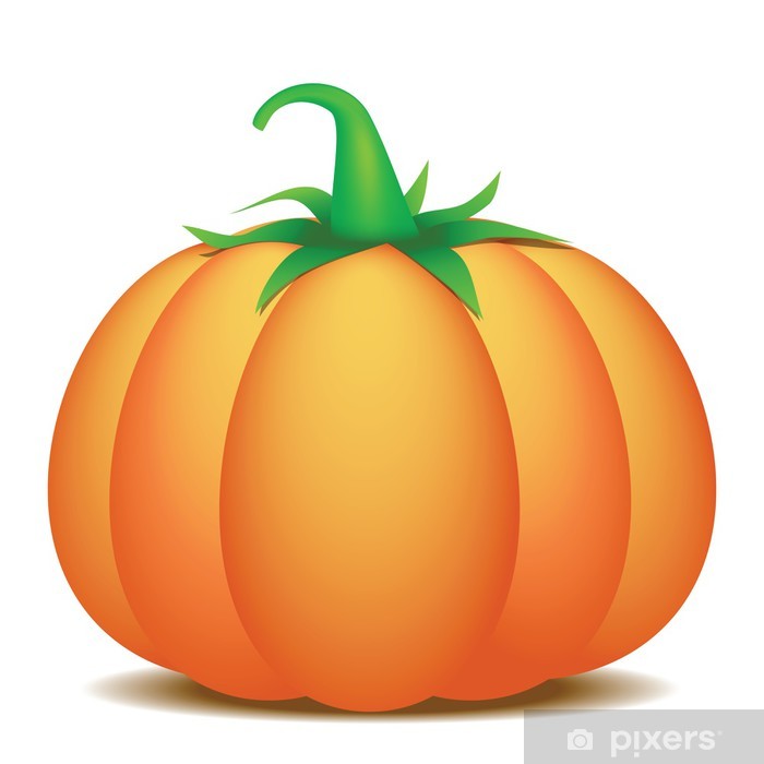 700x700 Pumpkin Vector Illustration Poster We Live To Change