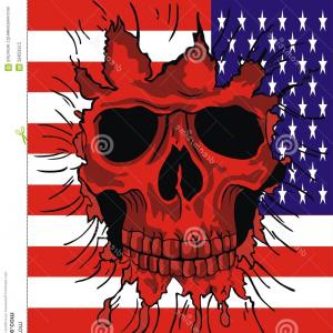 300x300 Stock Photography American Flag Skull Image Createmepink