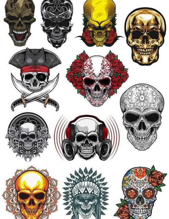 570x739 Clipart Skull Vector Illustration For Free Download And Use Images