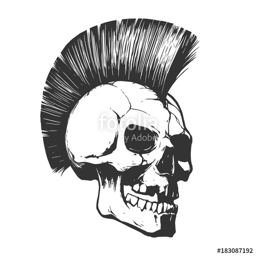 500x500 Punk Skull Illustration Stock Image And Royalty Free Vector