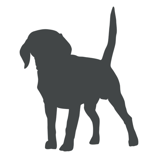 512x512 Puppy Silhouette Posing