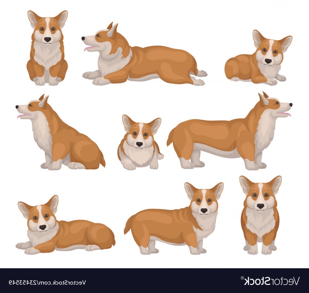 1200x1136 Set Of Welsh Corgi Dog In Different Poses Puppy Vector Soidergi