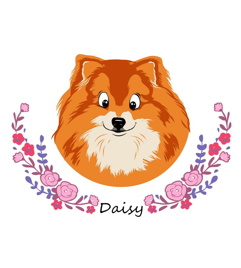 794x881 Custom Pet Portrait Dog Spitz Digital Art Puppy Vector Etsy