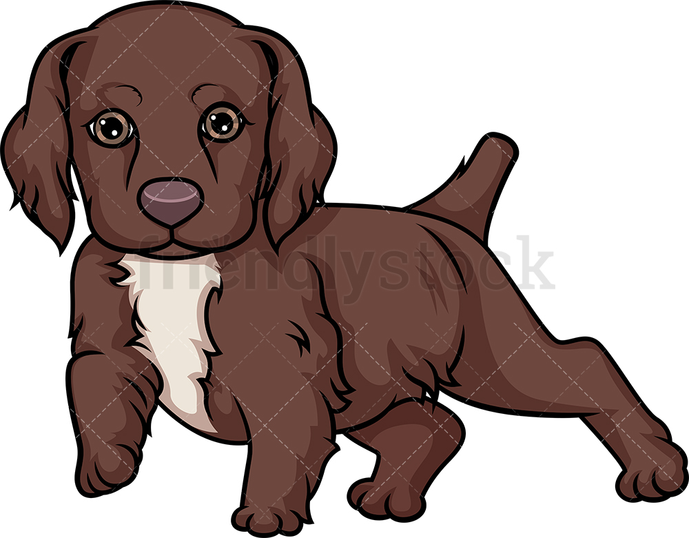1000x780 Cute English Cocker Spaniel Puppy Cartoon Clipart Vector