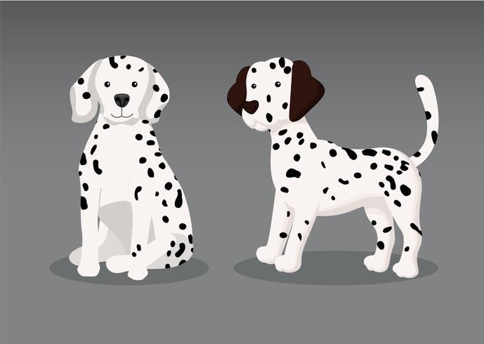 689x490 Dalmation Puppy Vector