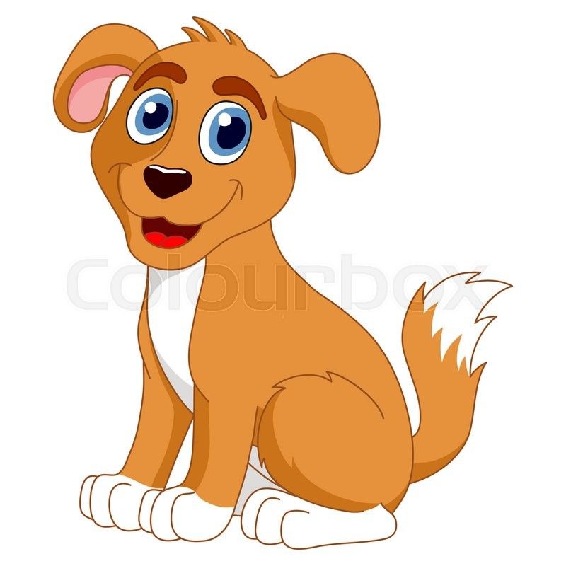 800x800 Cartoon Puppy, Vector Illustration Of Cute Dog Vector