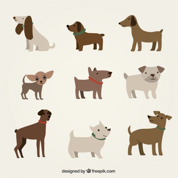 626x626 Cute Dogs Illustration Free Vector Ld Dog Illustration, Dog