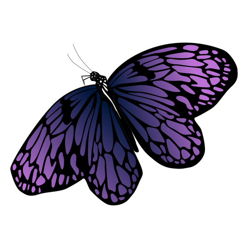 Download Purple Butterfly Vector at Vectorified.com | Collection of ...