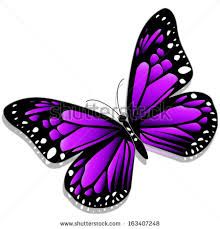 Image Result For Purple Butterfly Vector Sarcoidosis 220x229 Image Result For Purple Butterfly Vector Sarcoidosis