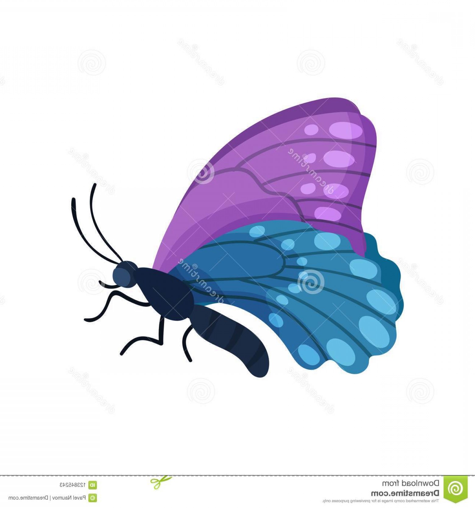 Beautiful Flying Blue Purple Butterfly Insect Vector Illustration 1560x1668 Beautiful Flying Blue Purple Butterfly Insect Vector Illustration