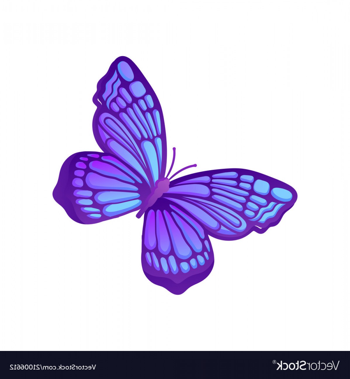 Download Purple Butterfly Vector at Vectorified.com | Collection of ...