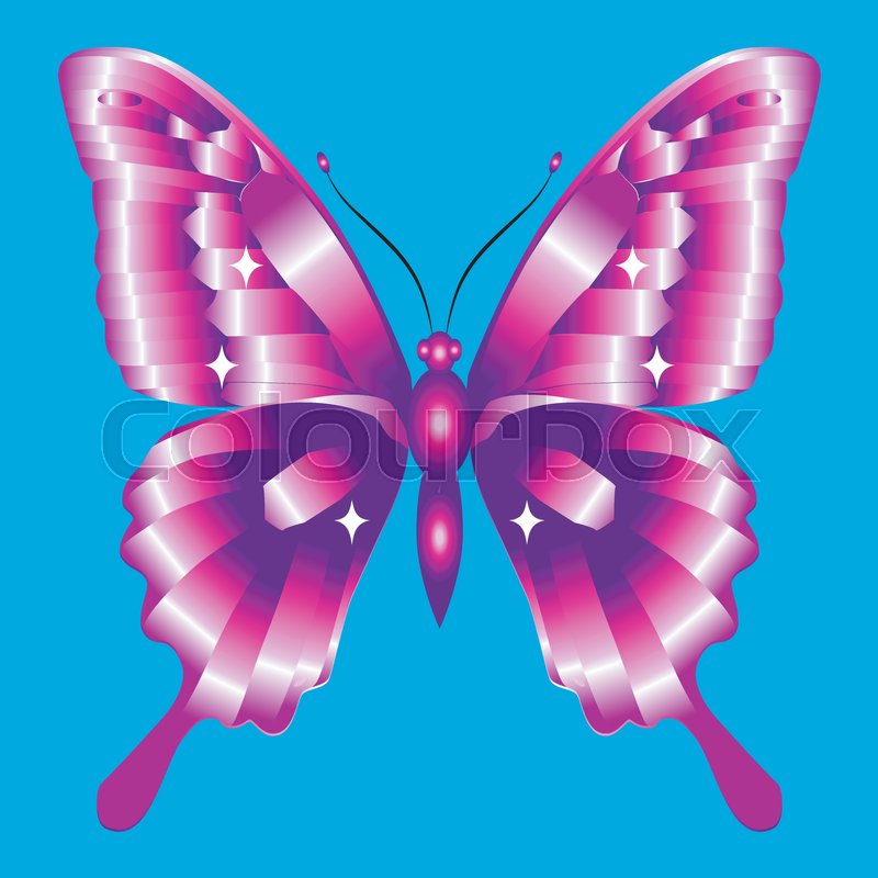 Bright Beautiful Purple Butterfly Stock Vector Colourbox 800x800 Bright Beautiful Purple Butterfly Stock Vector Colourbox