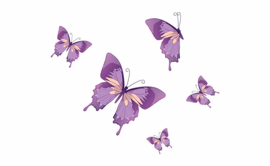 Purple Butterfly Vector at Vectorified.com | Collection of ...