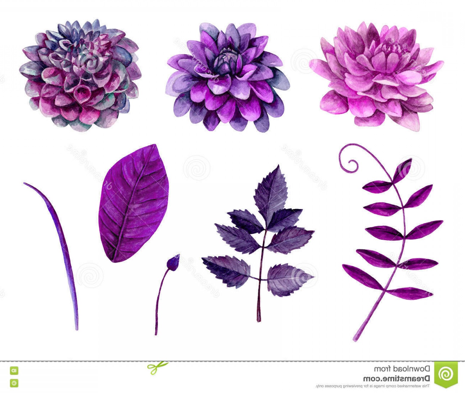 Stock Illustration Watercolor Purple Flowers Vector Floral Clip 1560x1320 Stock Illustration Watercolor Purple Flowers Vector Floral Clip
