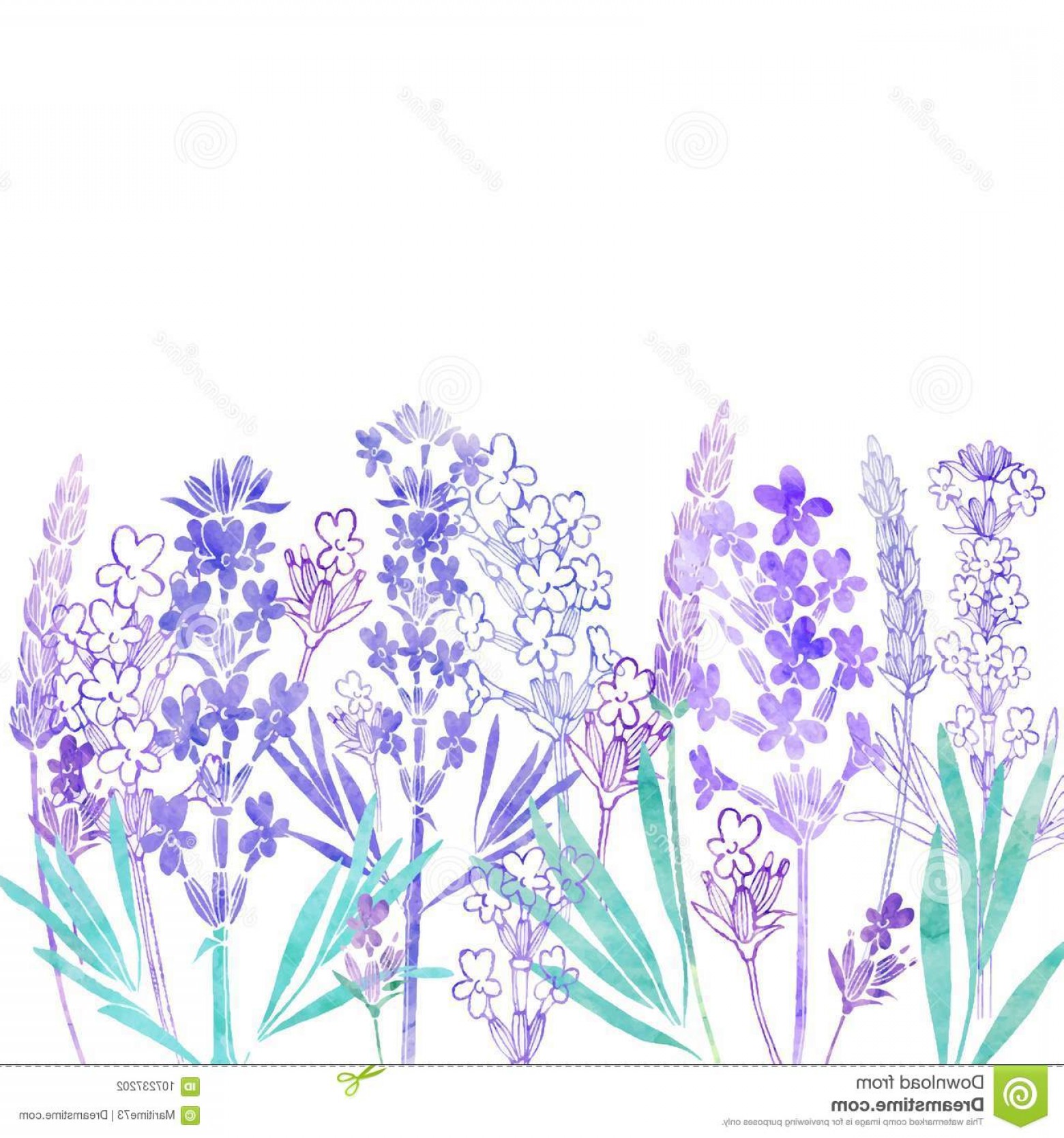 Floral Vector Background Lavender Flowers Place Te Watercolor 1560x1668 Floral Vector Background Lavender Flowers Place Te Watercolor
