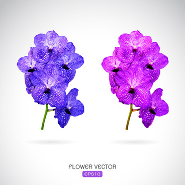 368x368 Purple Flower Vectors Free Vector Download