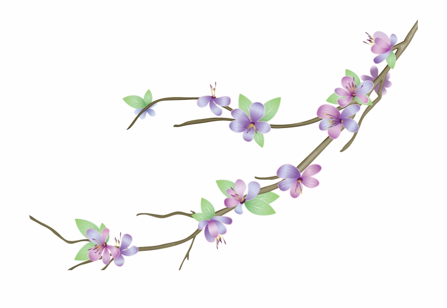 920x635 Flower Vectors Various