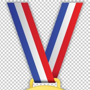 300x300 Afghanistan Service Medal Vector Purple Heart Catchsplace